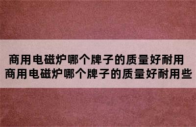 商用电磁炉哪个牌子的质量好耐用 商用电磁炉哪个牌子的质量好耐用些